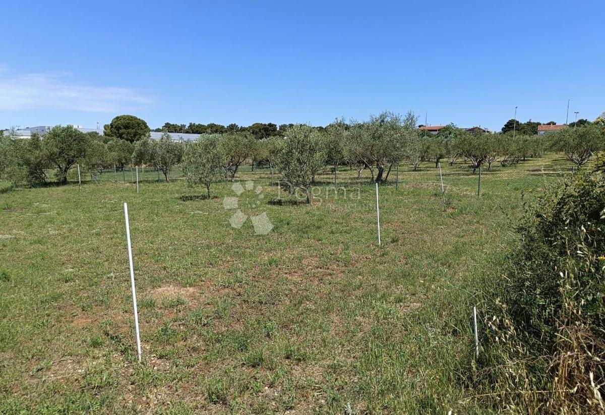 Terreno edificabile Biograd na Moru, 541m2