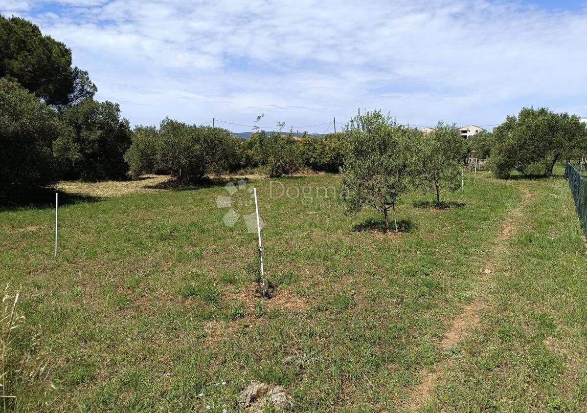 Terreno edificabile Biograd na Moru, 541m2