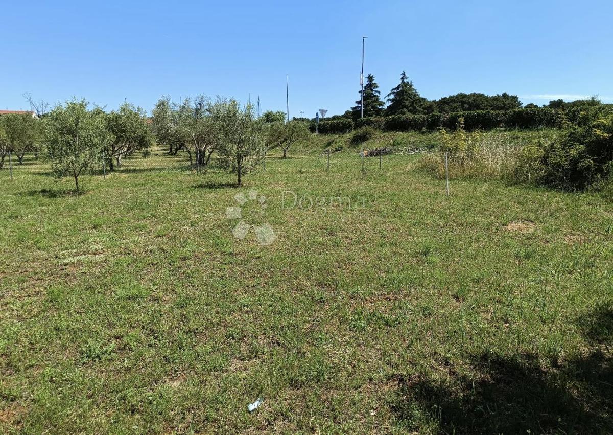 Terreno edificabile Biograd na Moru, 541m2