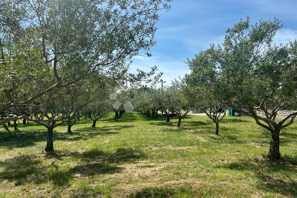 Terreno edificabile Sveti Lovreč, 980m2