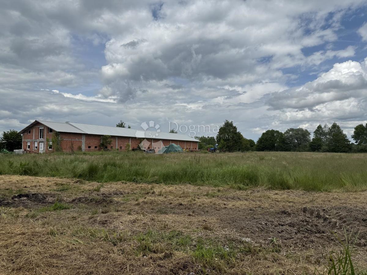 Grande edificio commerciale di 600 m² su 12.000 m² di terreno recintato