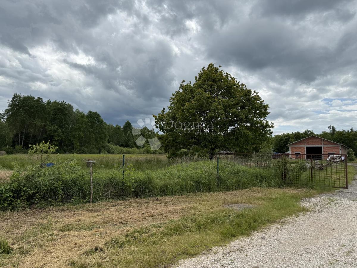Grande edificio commerciale di 600 m² su 12.000 m² di terreno recintato