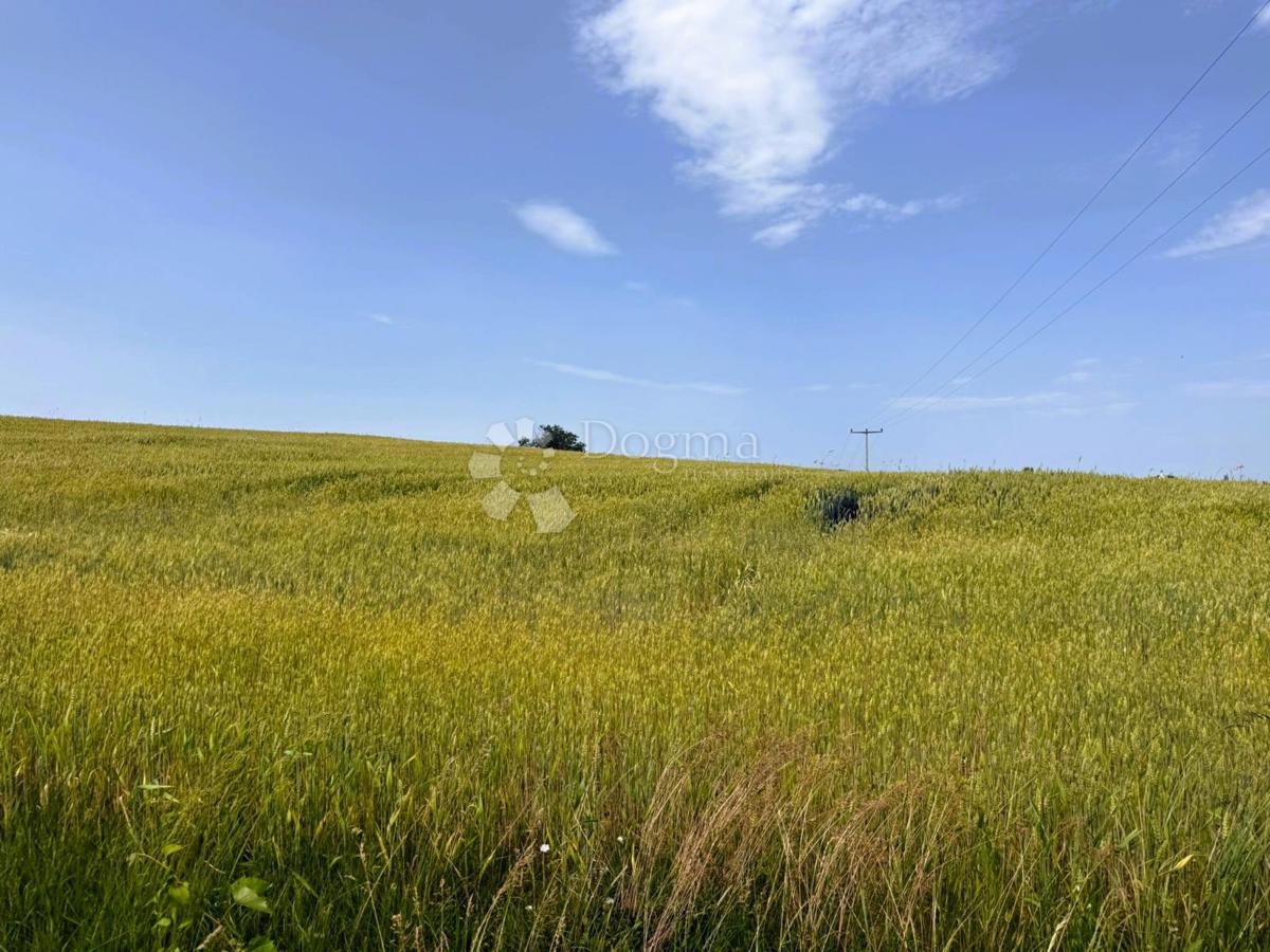 Terreno edificabile Bukovec, Selnica, 9.694m2