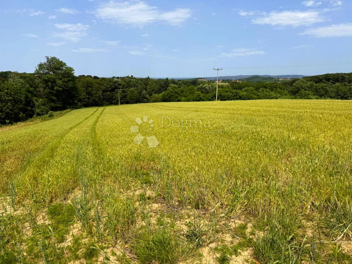 Terreno edificabile Bukovec, Selnica, 9.694m2