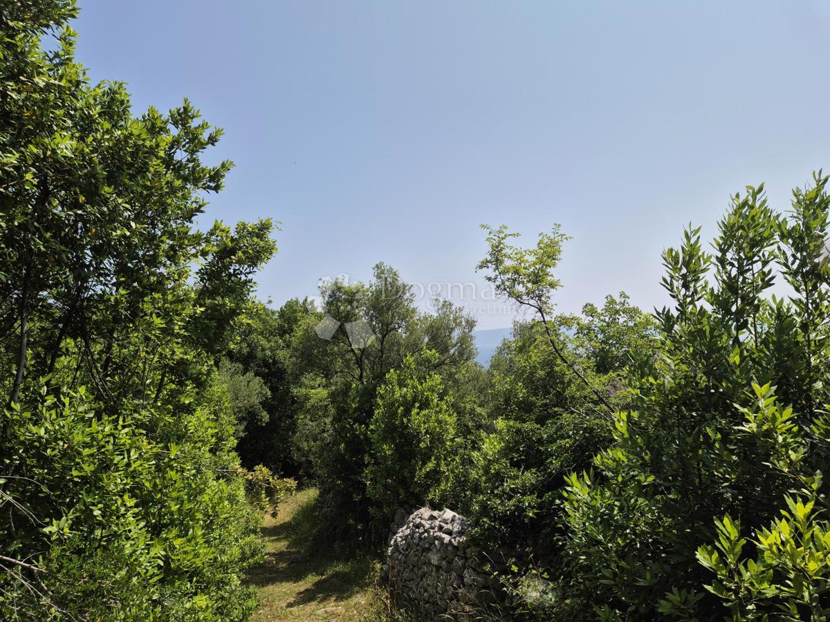 Terreno edificabile Drenje, Raša, 3.100m2