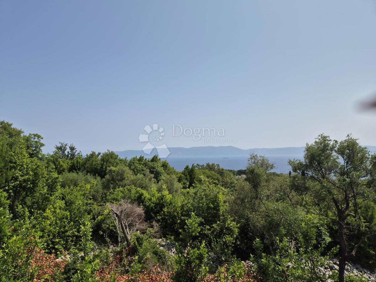 Terreno edificabile Drenje, Raša, 3.100m2