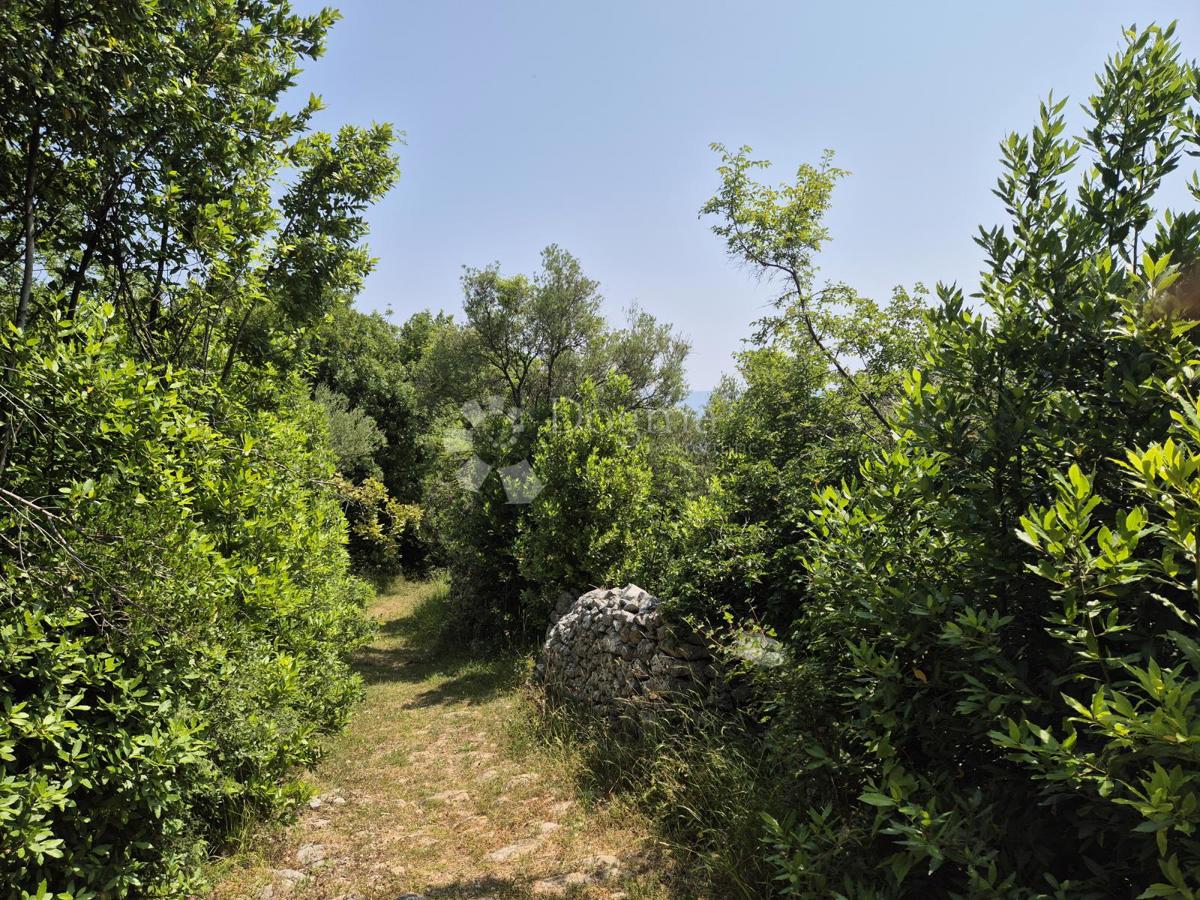 Terreno edificabile Drenje, Raša, 3.100m2
