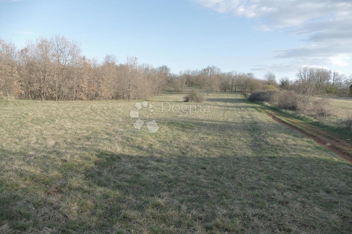 Ampio Terreno Combinato con Progetto Concettuale