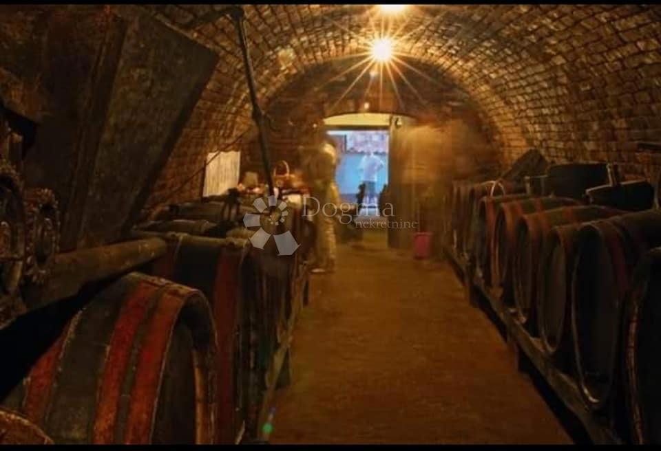 Casa Zmajevac, Kneževi Vinogradi, 51m2