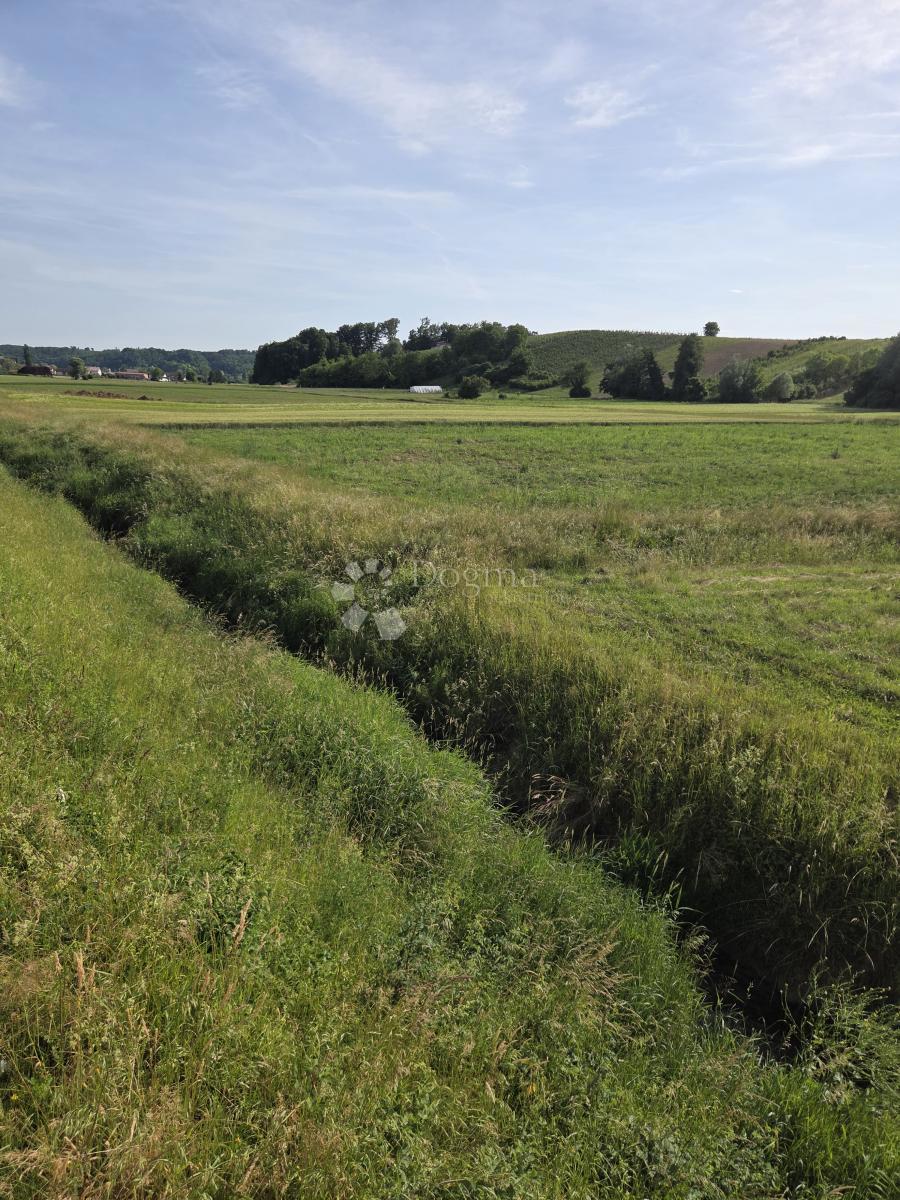 Terreno edificabile Biškupec Zelinski, Sveti Ivan Zelina, 3.931m2