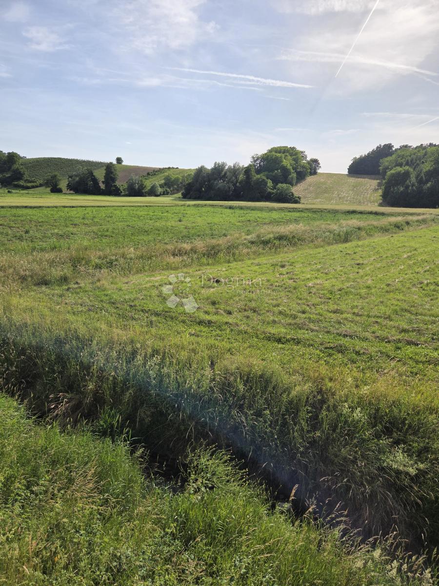 Terreno edificabile Biškupec Zelinski, Sveti Ivan Zelina, 3.931m2