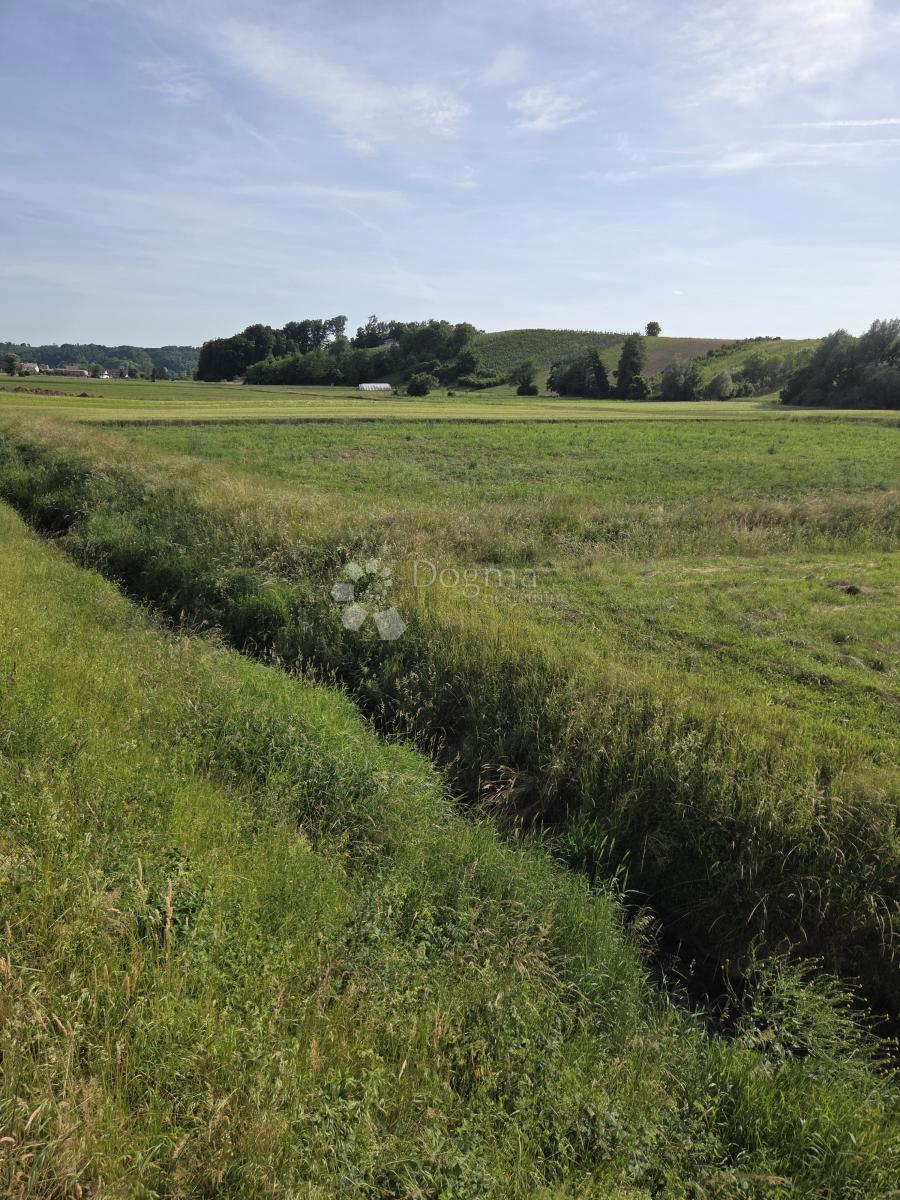 Terreno edificabile Biškupec Zelinski, Sveti Ivan Zelina, 3.931m2
