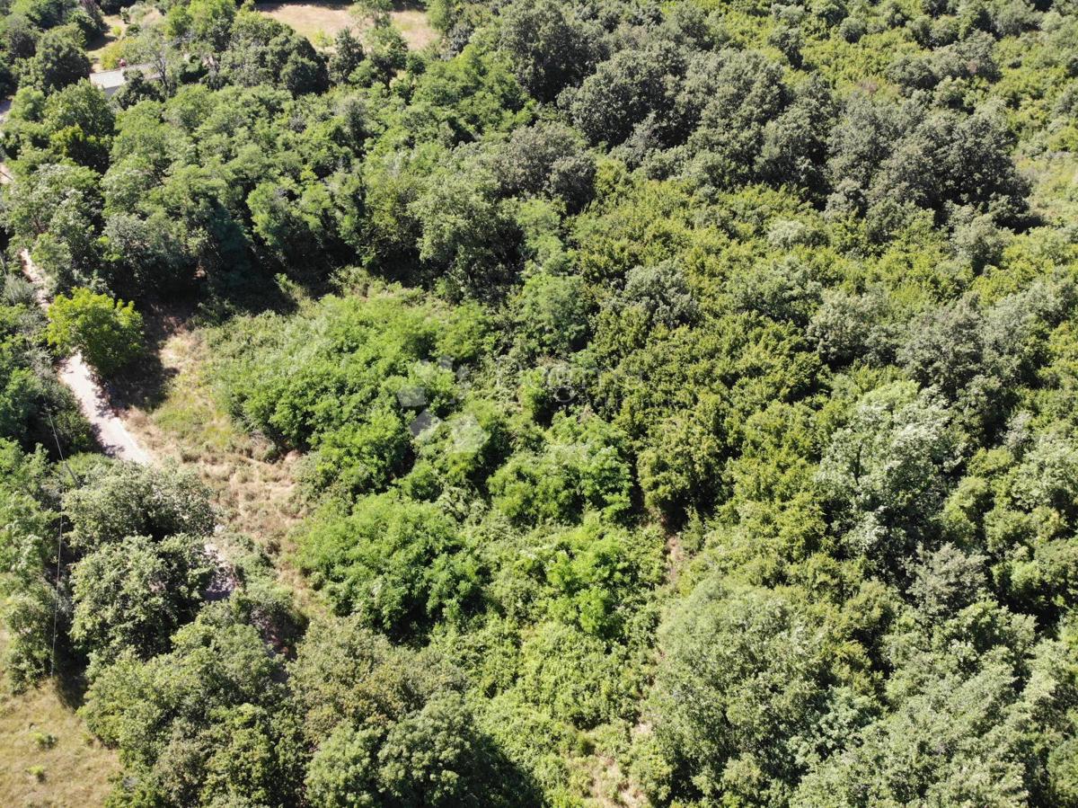 Terreno edificabile Poreč, 1.033m2