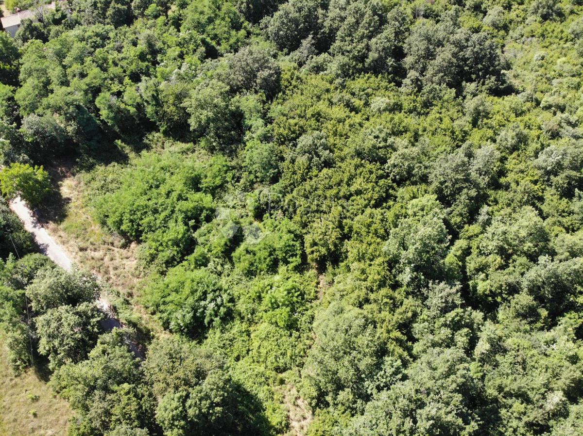 Terreno edificabile Poreč, 1.033m2