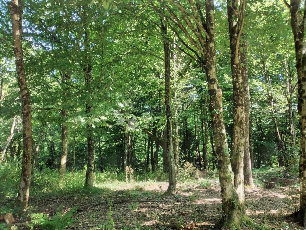 Casa Donji Hrastovac, Sunja, 144m2