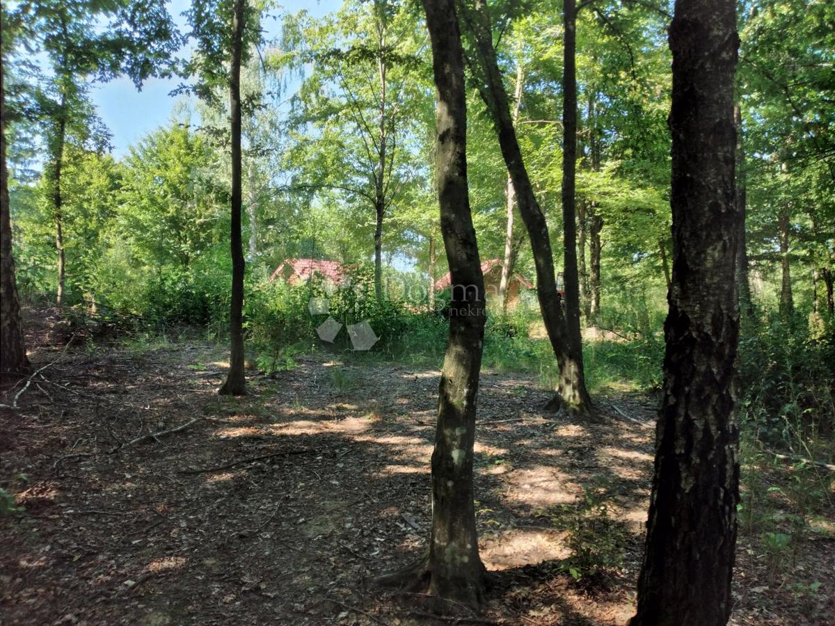 Casa Donji Hrastovac, Sunja, 144m2