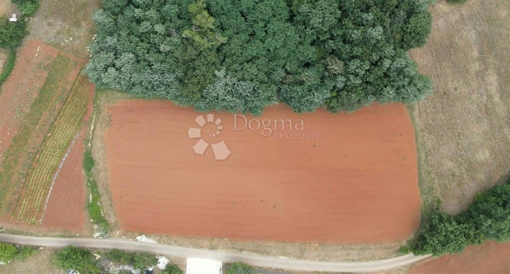 Terreno edificabile Tar, Tar-Vabriga, 928m2