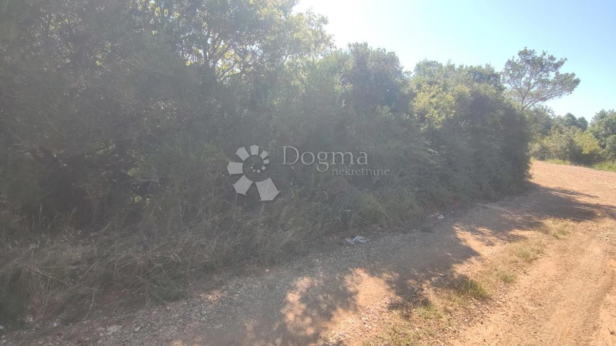 Terreno agricolo vicino al mare - Peroj