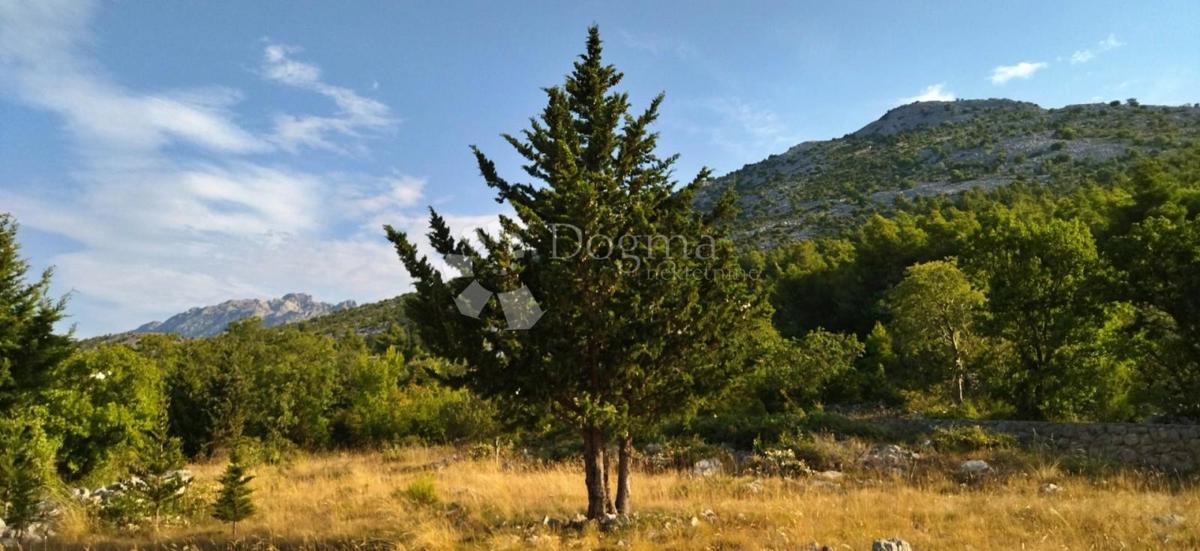 [OASI VICINO AL MARE] Terreno Starigrad 7500m2 