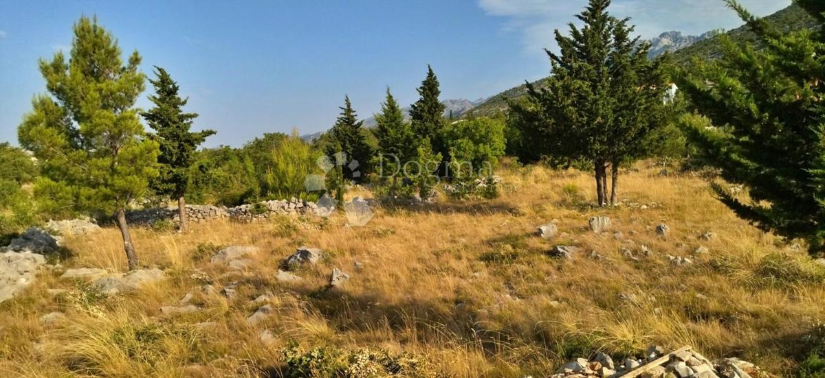 [OASI VICINO AL MARE] Terreno Starigrad 7500m2 