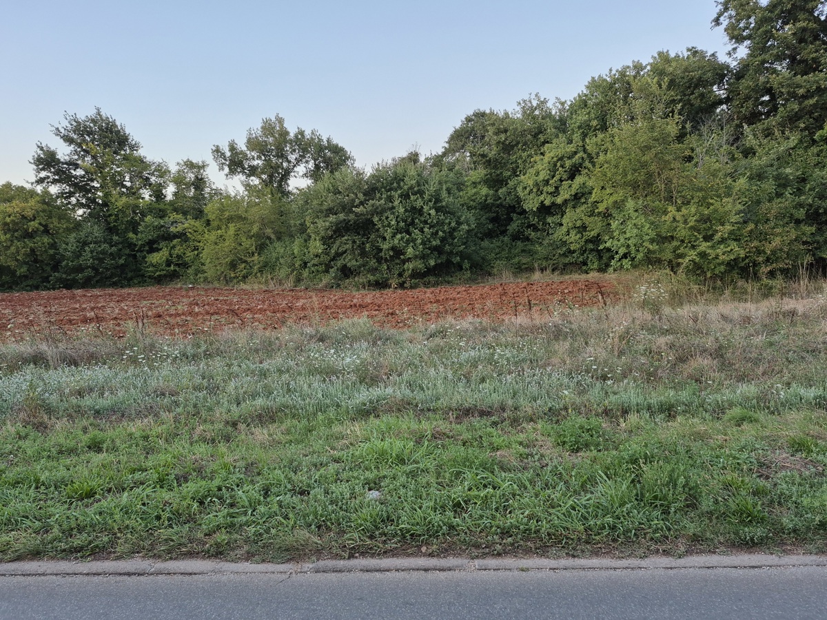 3 proprietà all'ingresso di Šegotiće, a 3500 m dal mare
