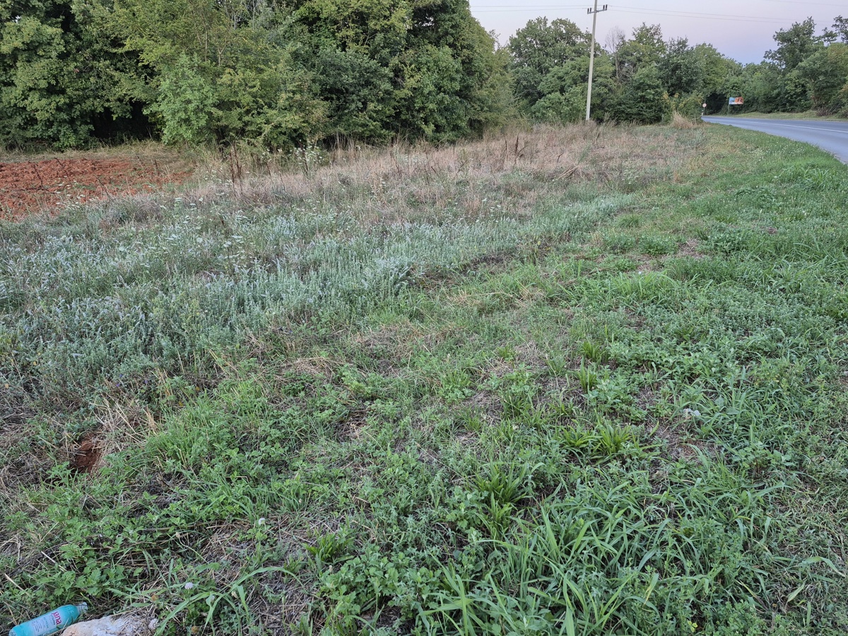 3 proprietà all'ingresso di Šegotiće, a 3500 m dal mare