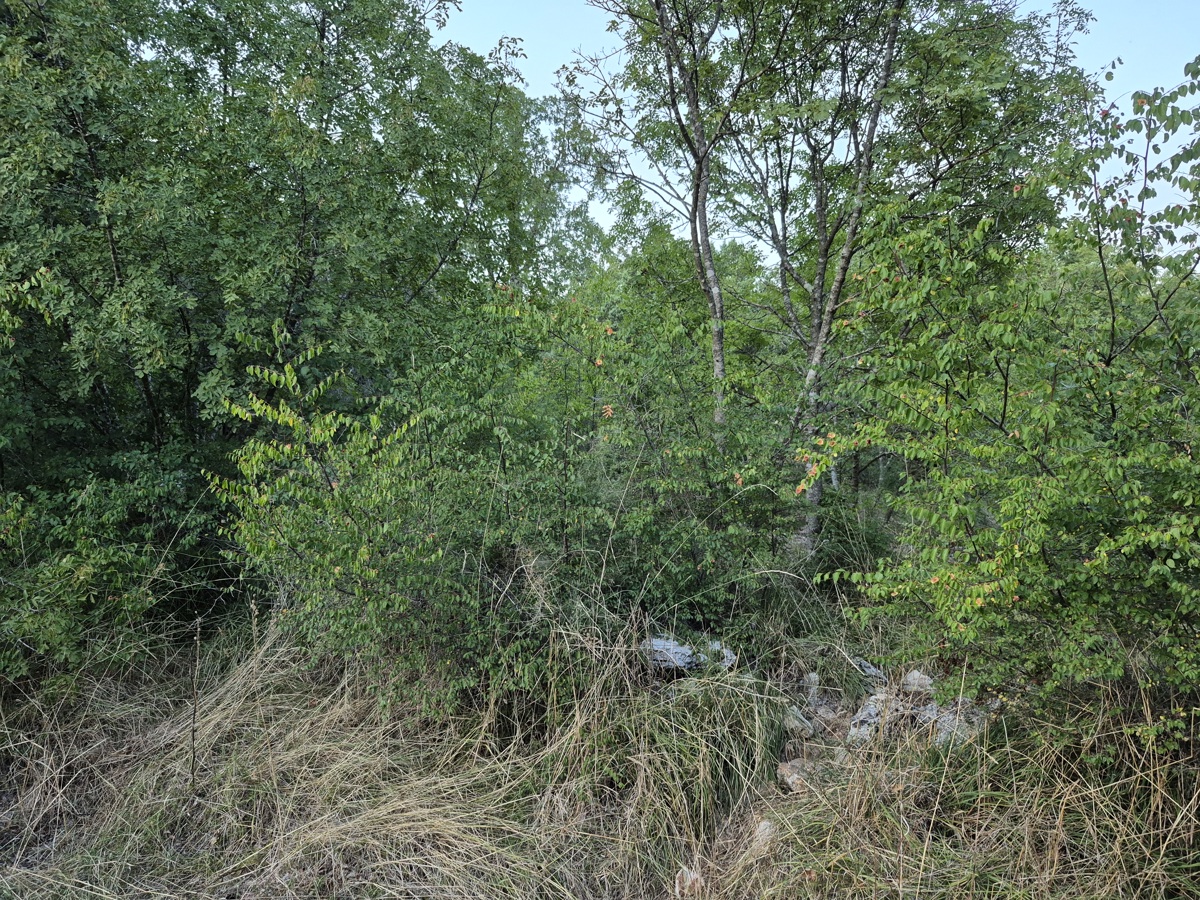 3 proprietà all'ingresso di Šegotiće, a 3500 m dal mare