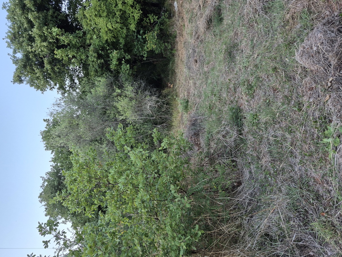 3 proprietà all'ingresso di Šegotiće, a 3500 m dal mare