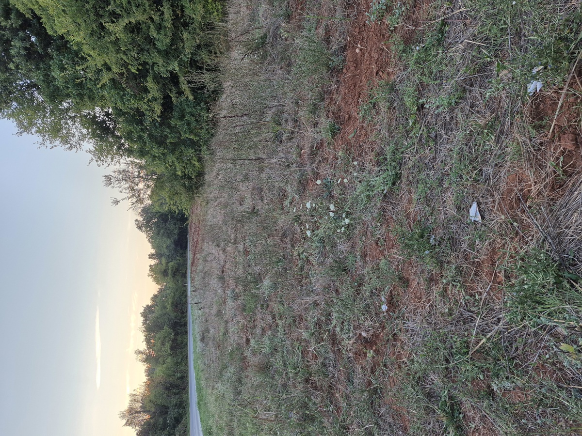 3 proprietà all'ingresso di Šegotiće, a 3500 m dal mare