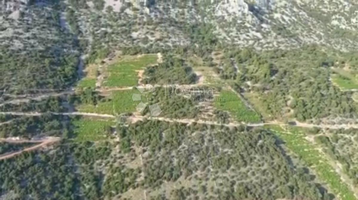 Terreno agricolo Potomje, Orebić, 17.346m2