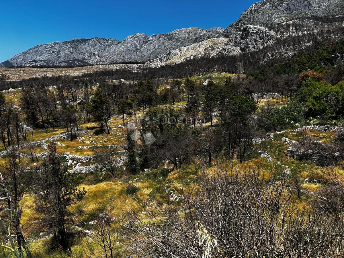 Terreno agricolo Podgora, 3.125m2