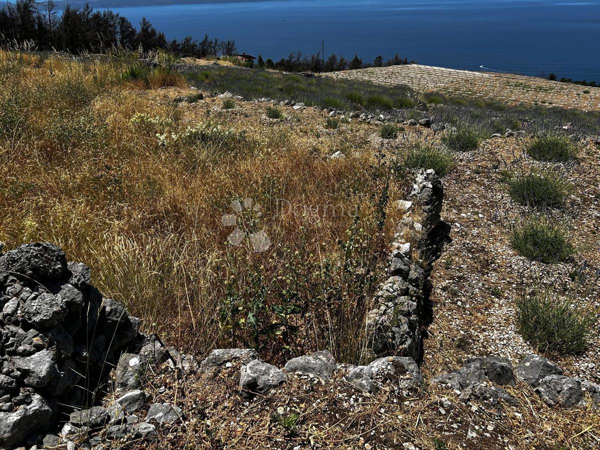 Terreno agricolo Podgora, 3.125m2