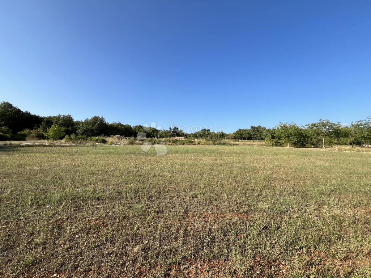 SAN LORENZO, TERRA SPAZIOSA DI FORMA REGOLARE