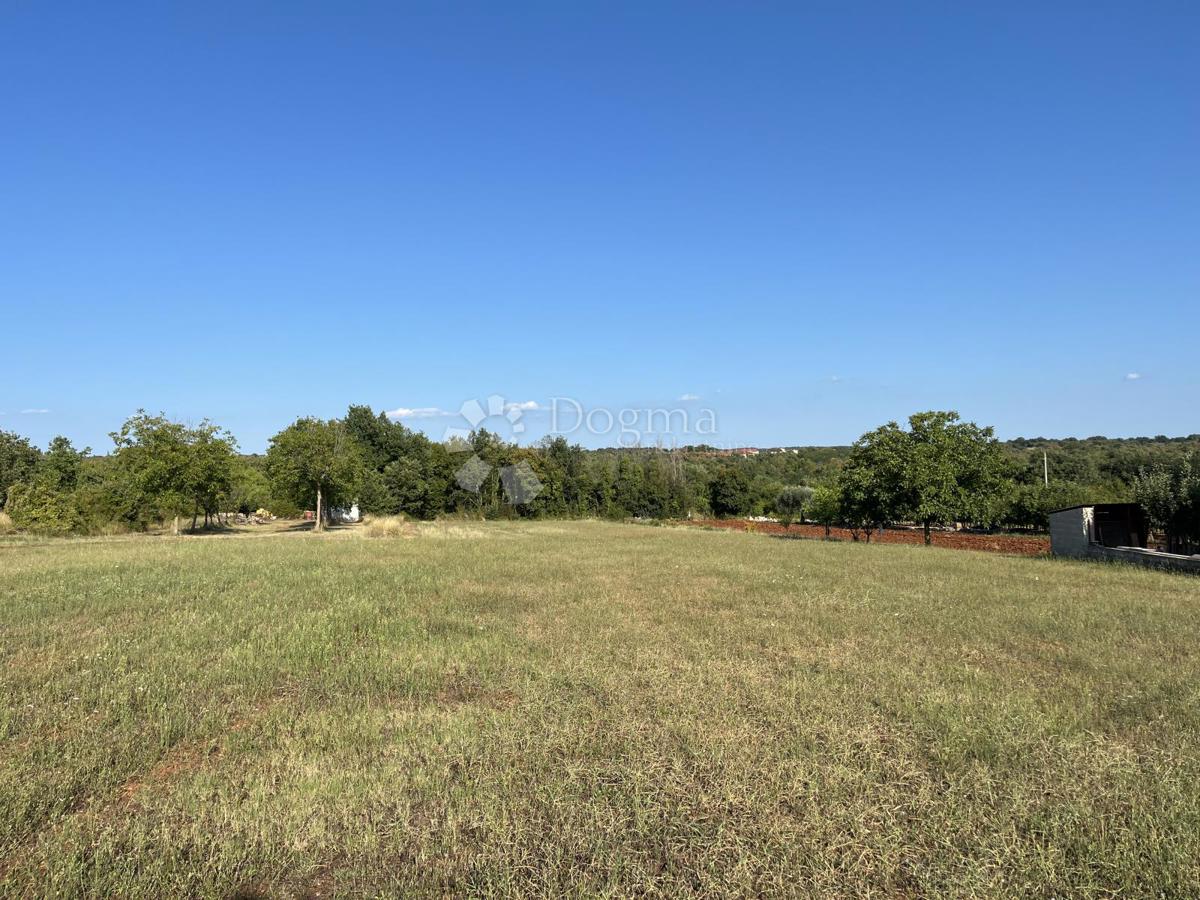 SAN LORENZO, TERRA SPAZIOSA DI FORMA REGOLARE