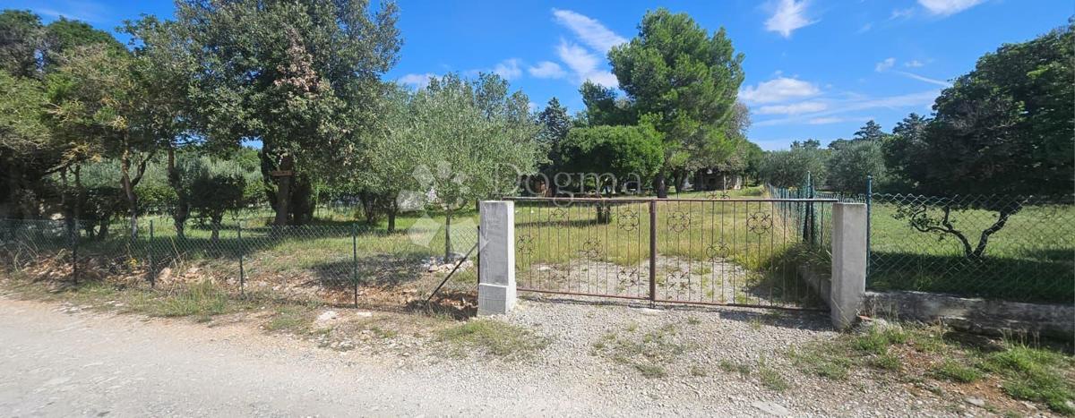 Terreno agricolo Barbariga, Vodnjan, 547m2