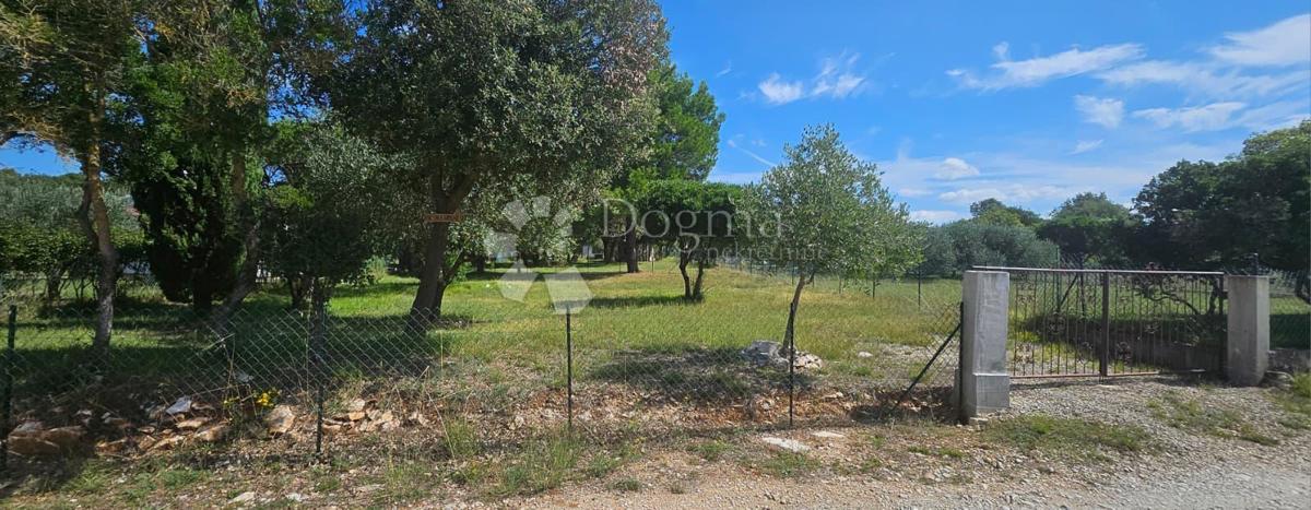 Terreno agricolo Barbariga, Vodnjan, 547m2