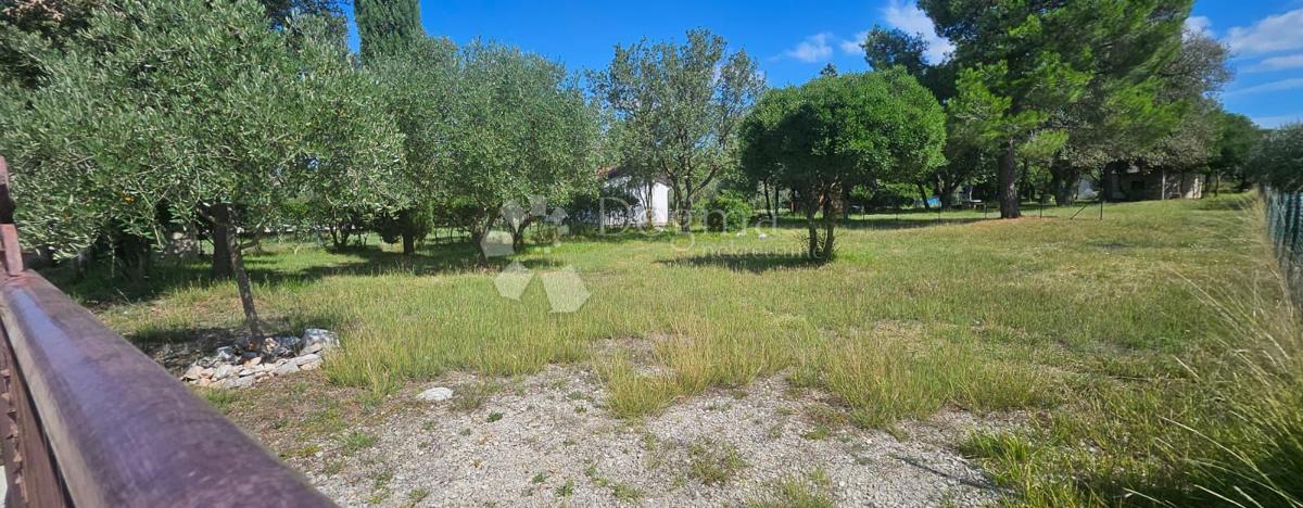 Terreno agricolo Barbariga, Vodnjan, 547m2