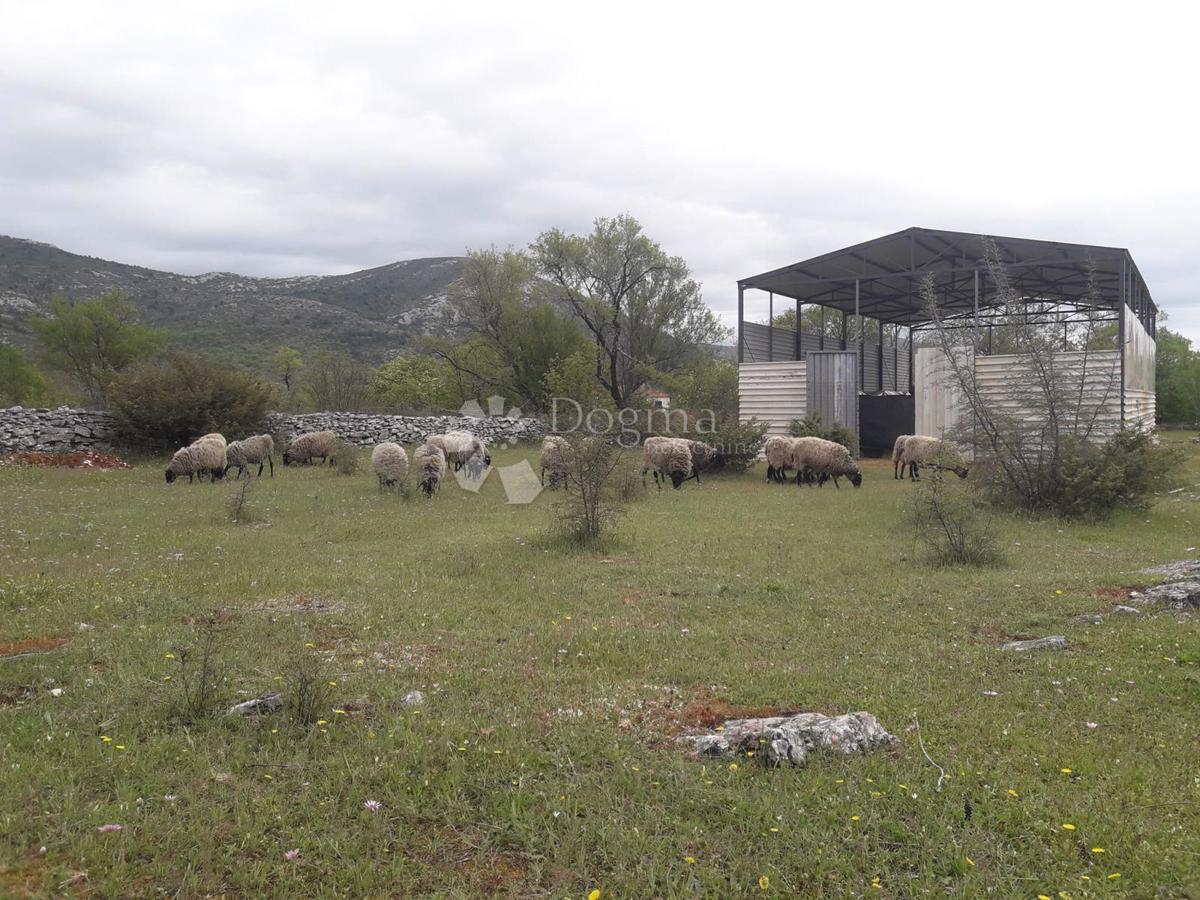 Terreno agricolo Bristivica, Seget, 4.165m2