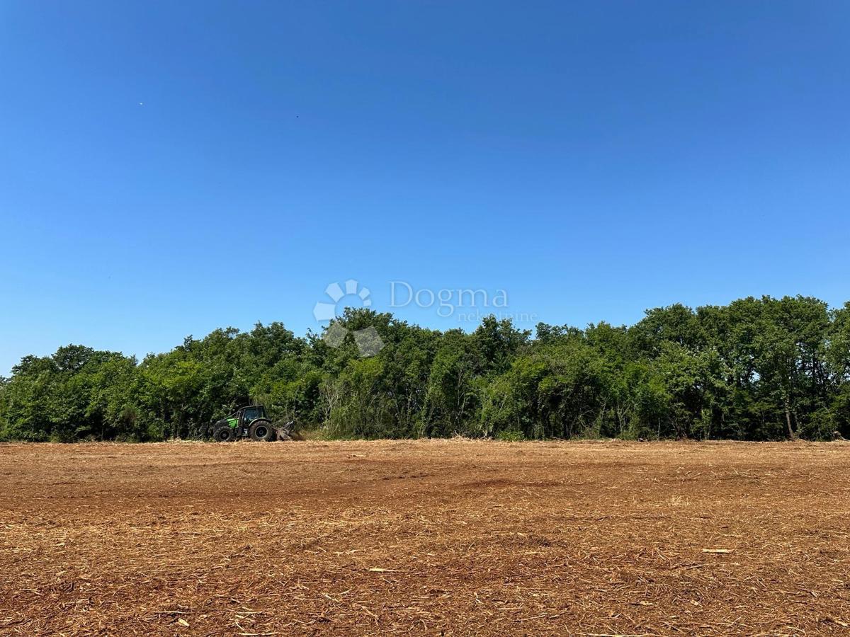 Istria – Muntić | Terreno agricolo 10.096 m2 con possibilità di edificazione