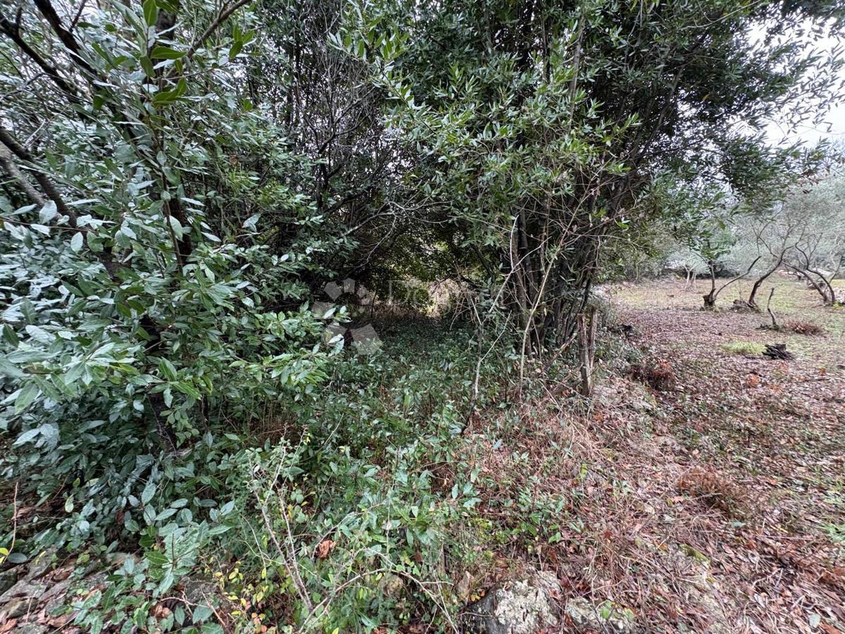 Terreno edificabile Gabonjin, Dobrinj, 1.564m2