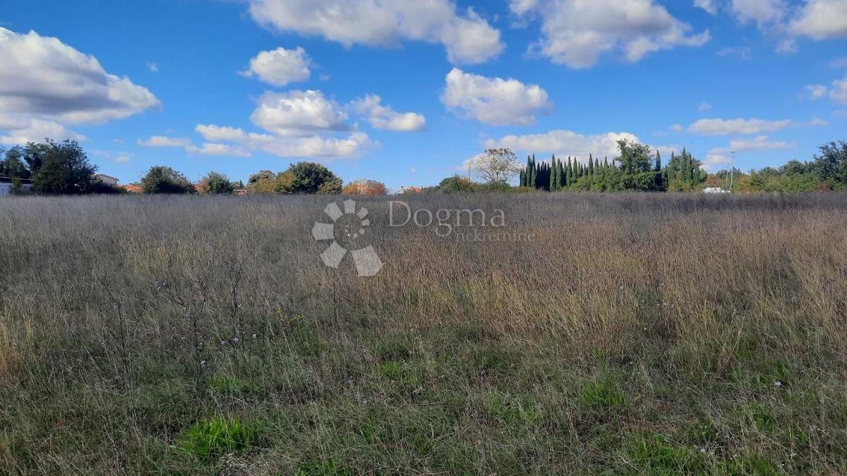 Terreno agricolo Štokovci, Svetvinčenat, 26.059m2