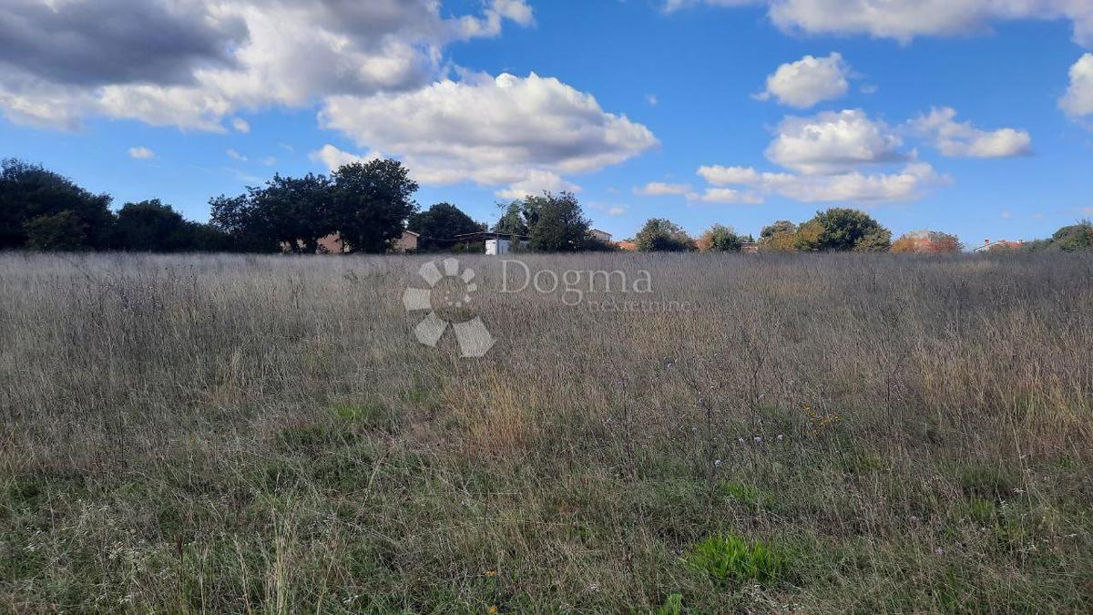 Terreno agricolo Štokovci, Svetvinčenat, 26.059m2