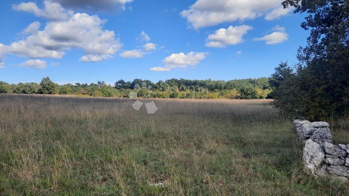 Terreno agricolo Štokovci, Svetvinčenat, 26.059m2