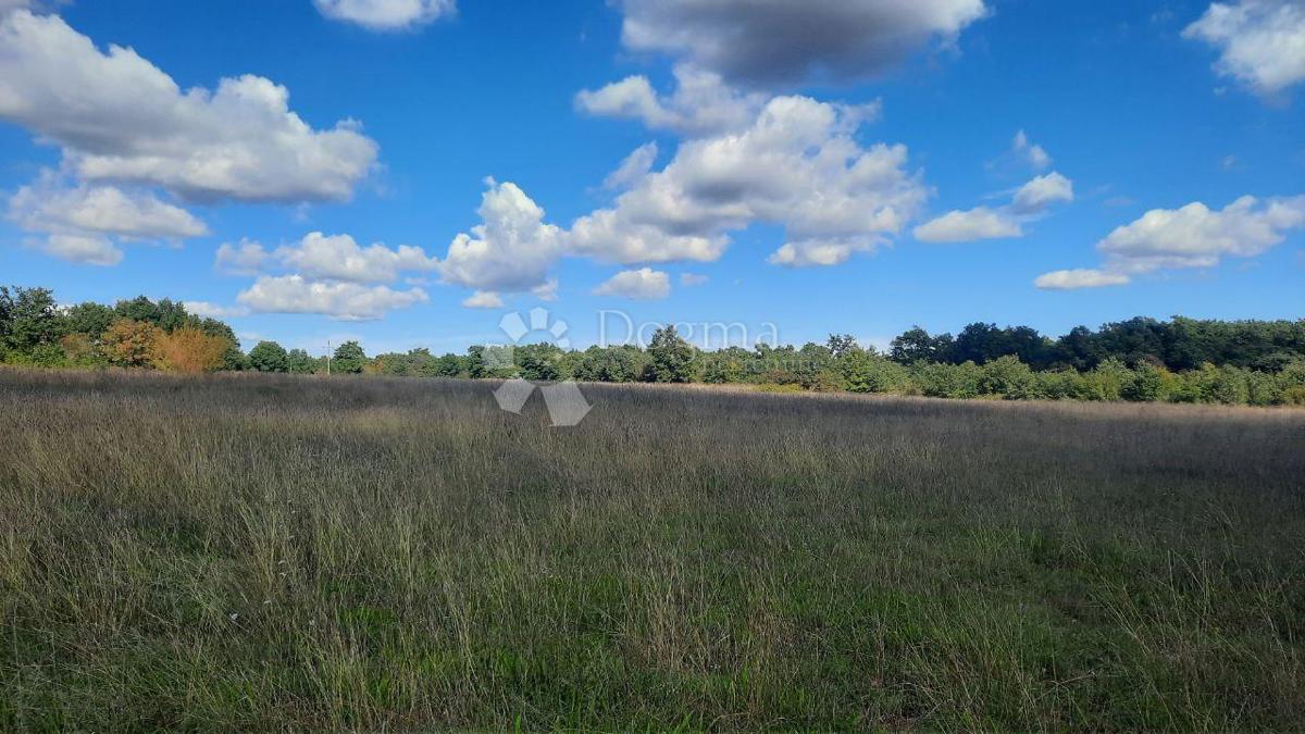 Terreno agricolo Štokovci, Svetvinčenat, 26.059m2