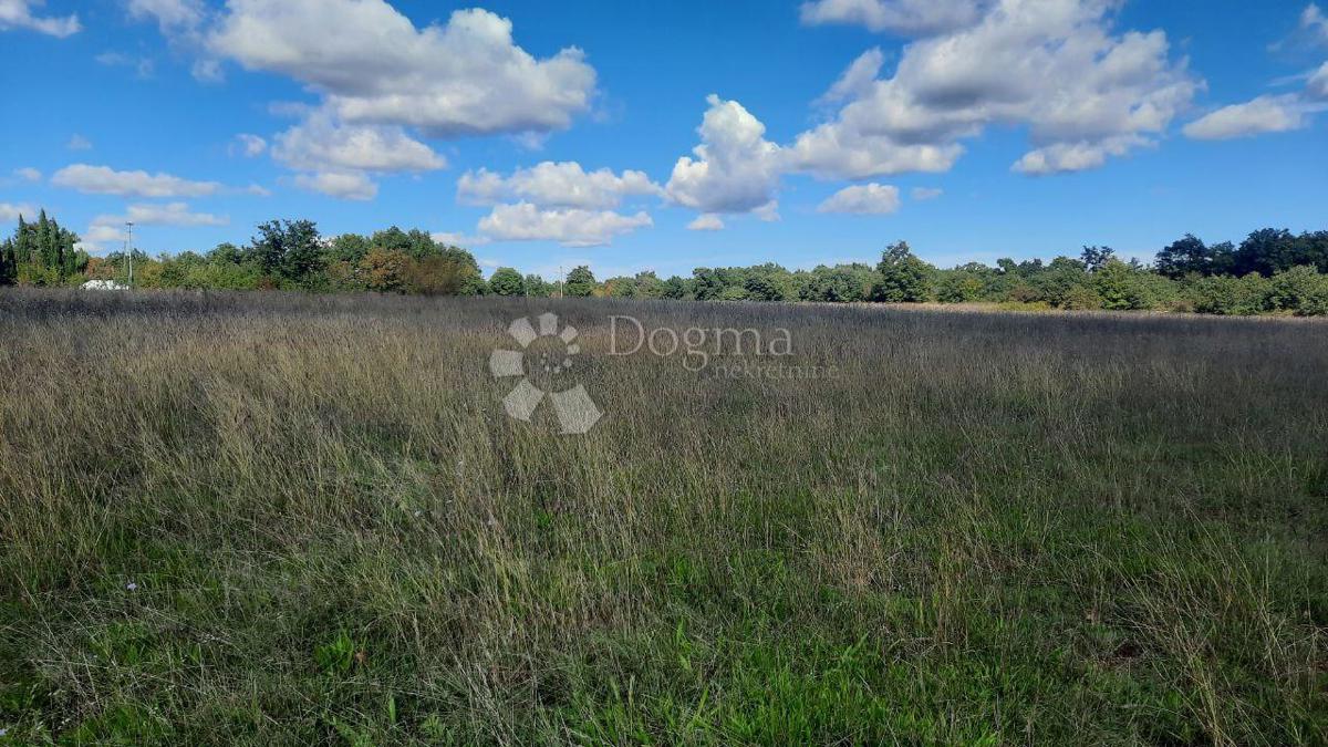 Terreno agricolo Štokovci, Svetvinčenat, 26.059m2