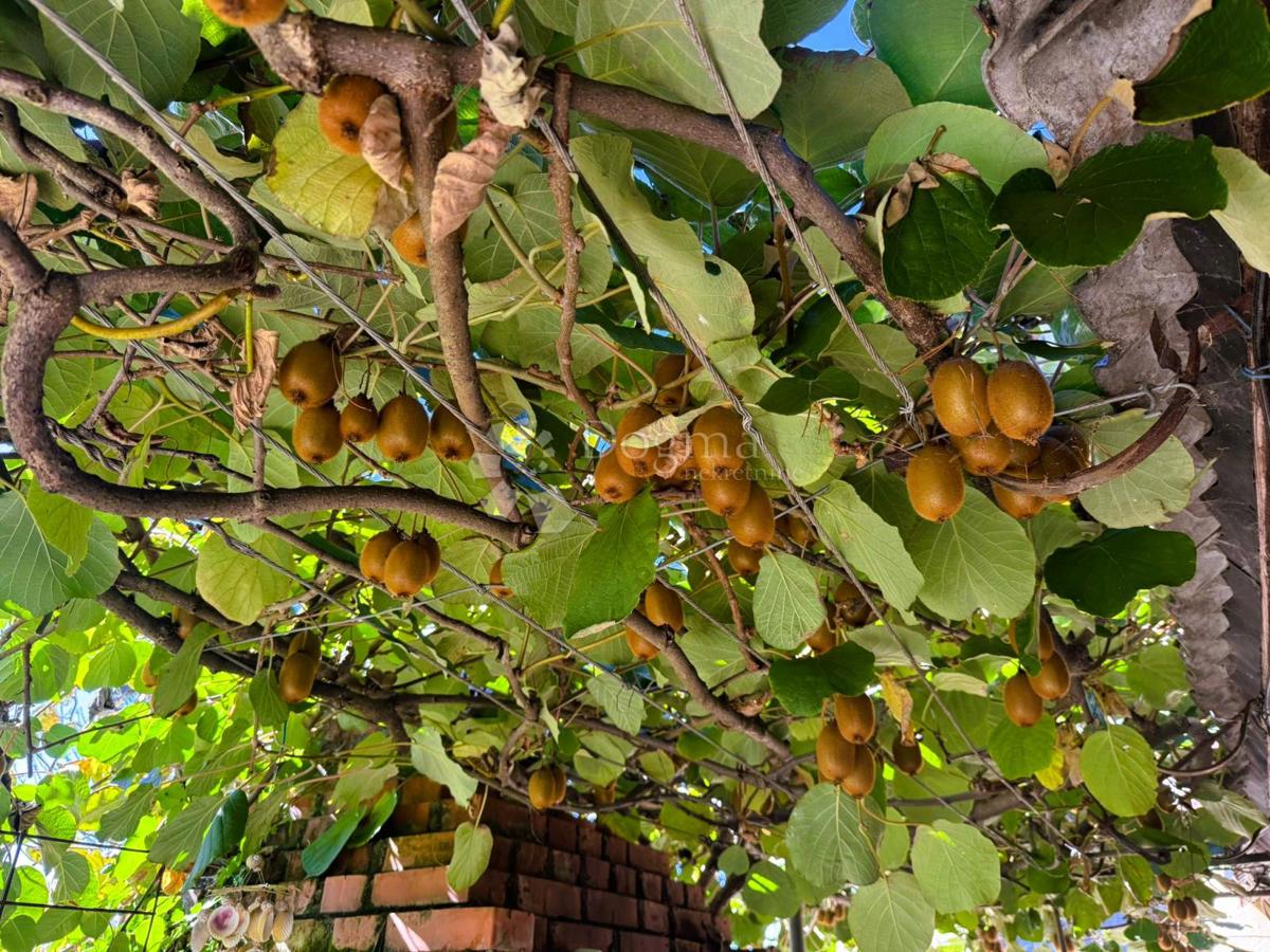 Casa Dekanovec, 222m2