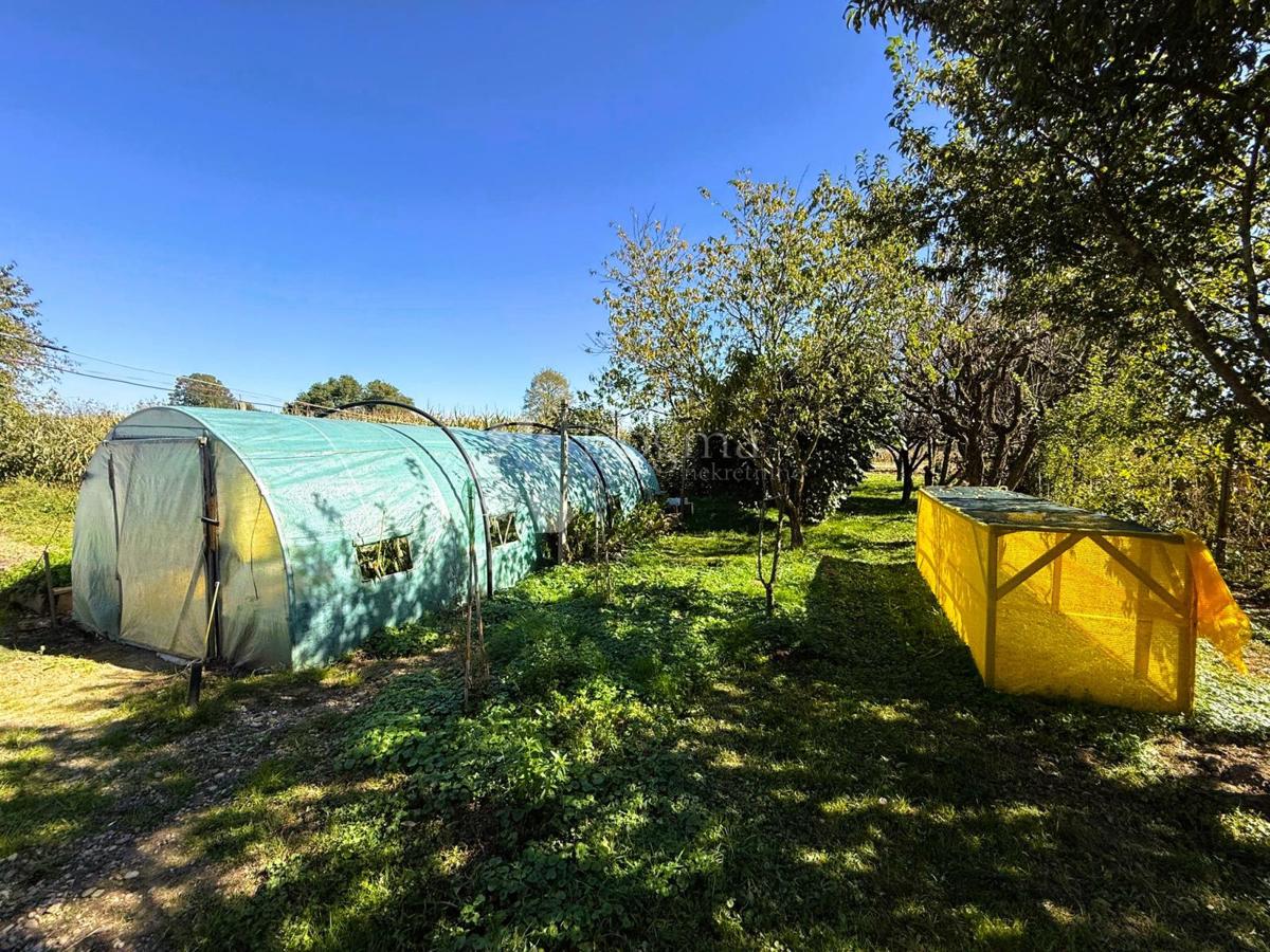 Casa Dekanovec, 222m2