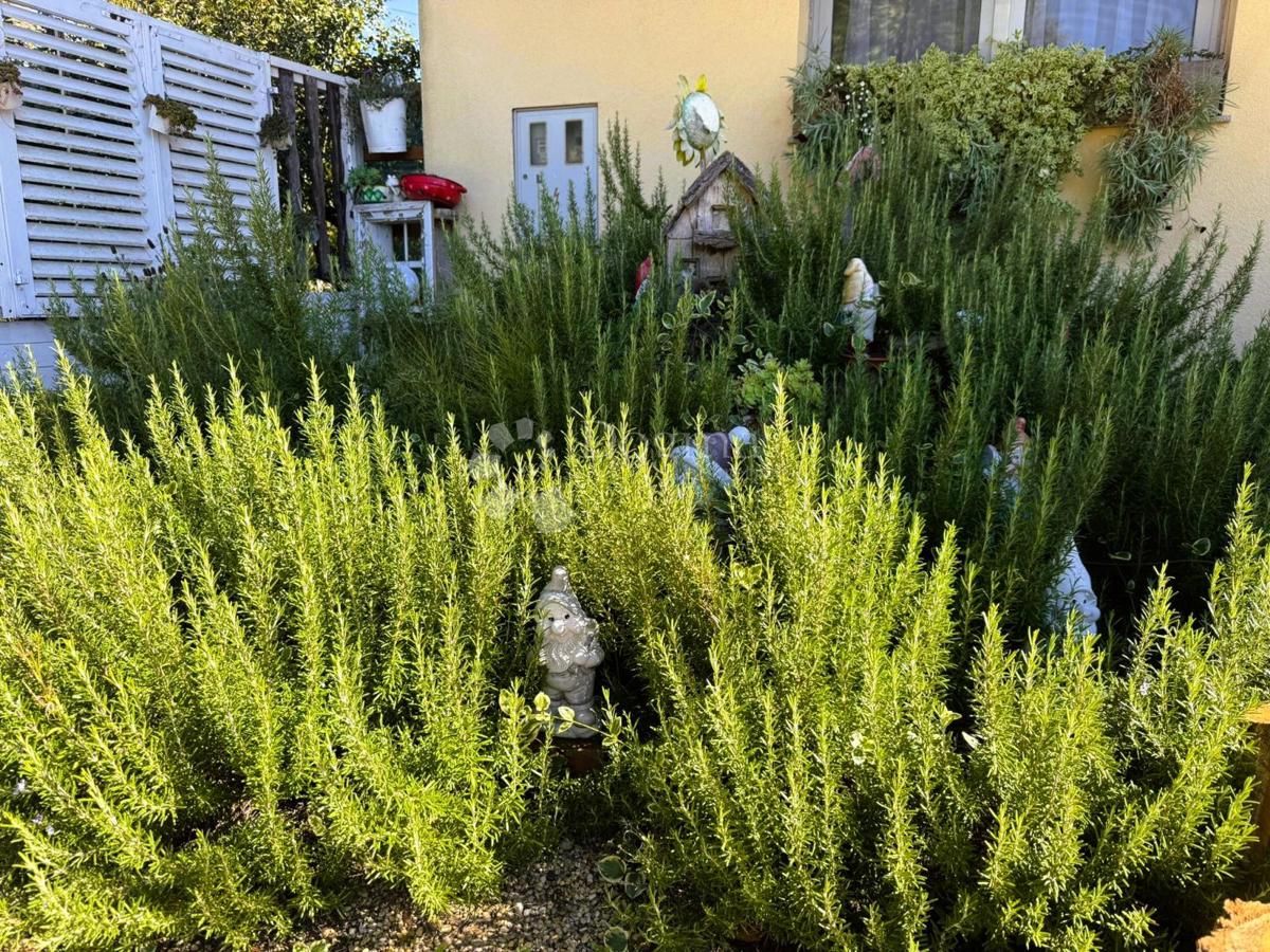 Casa Dekanovec, 222m2