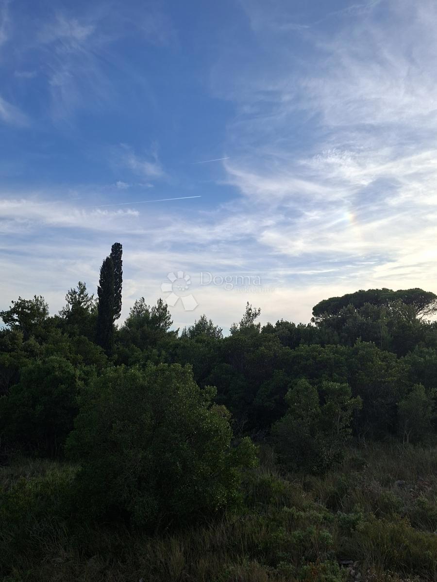 Terreno agricolo Močići, Konavle, 35.544m2