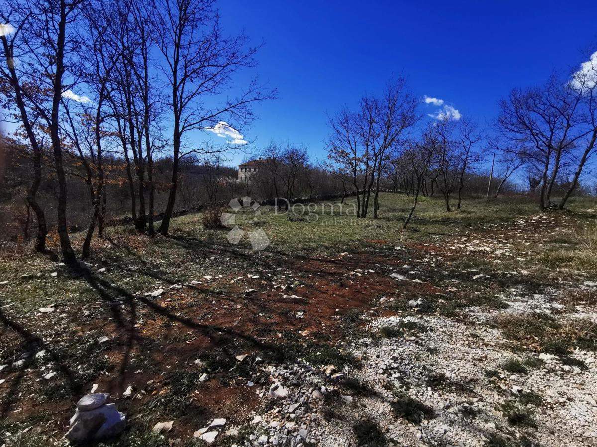 Terreno edificabile in posizione tranquilla con progetto concettuale